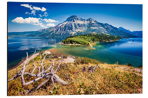 Aluminium print Sunny day at Waterton Lake National Park, USA