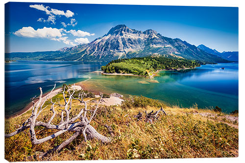 Canvas print Sunny day at Waterton Lake National Park, USA