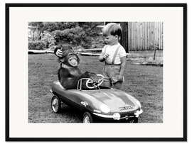 Gerahmter Kunstdruck Schimpanse im Sportwagen