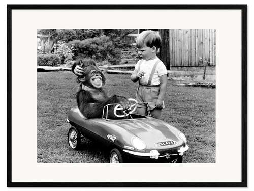 Stampa artistica con cornice Chimpanzee in a sports car