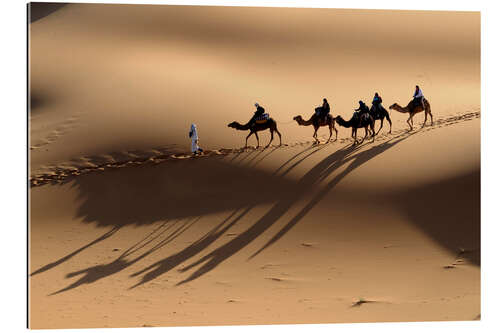 Gallery print Camel caravan crosses the sand dunes of the Sahara