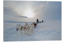 Gallery print Dog sledding with Alaskan Huskies