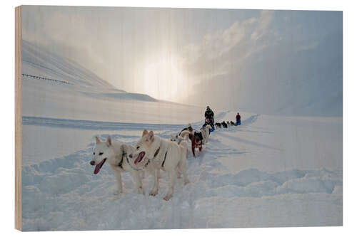 Holzbild Hundeschlitten mit Alaskan Huskies