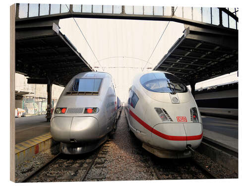 Holzbild TGV und ICE am Gare de l'Est