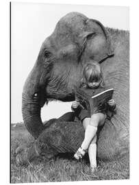 Magnettafel Geschichten lesen mit Elefant