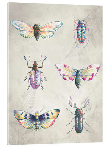 Gallery print Colorful beetles