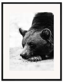Gerahmter Kunstdruck Fauler Bär