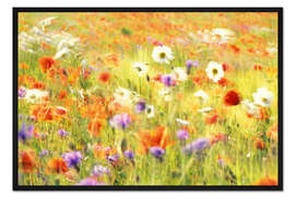 Gerahmter Kunstdruck Mohn-, Margeriten- und Kornblumenfeld
