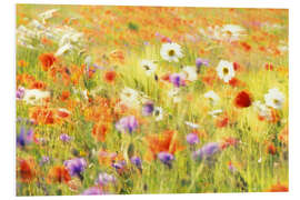 Foam board print Field of poppies, daisies and cornflowers