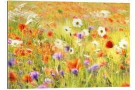 Gallery print Field of poppies, daisies and cornflowers