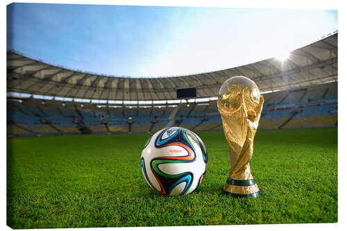 Lienzo Match ball from the 2014 Football World Cup