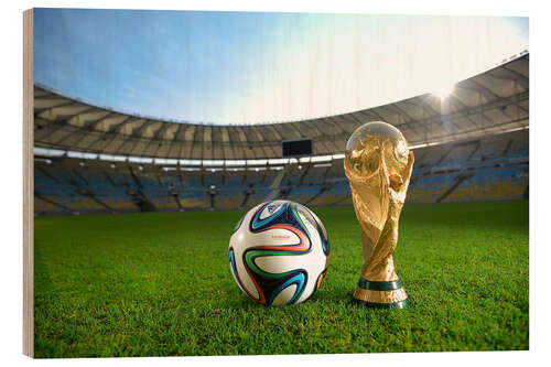 Obraz na drewnie Match ball from the 2014 Football World Cup