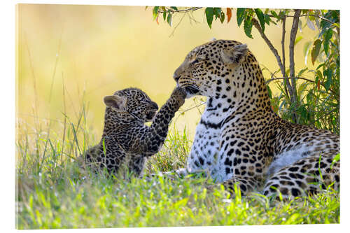 Akryylilasitaulu Leopard