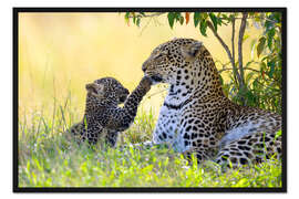 Gerahmter Kunstdruck Leopard