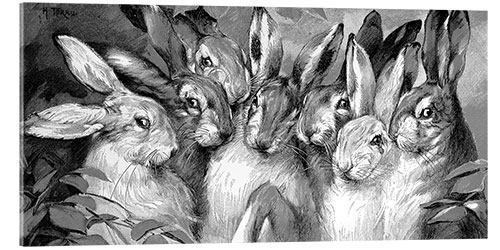 Acrylic print Seven Rabbits