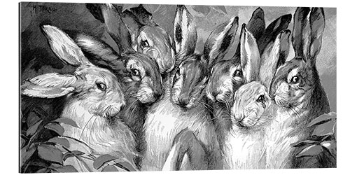 Tableau en plexi-alu Seven Rabbits