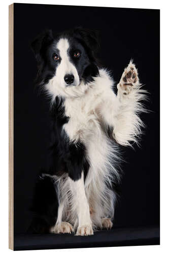 Holzbild Border Collie