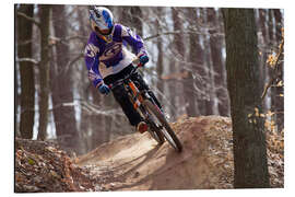 Aluminium print Downhill cyclist