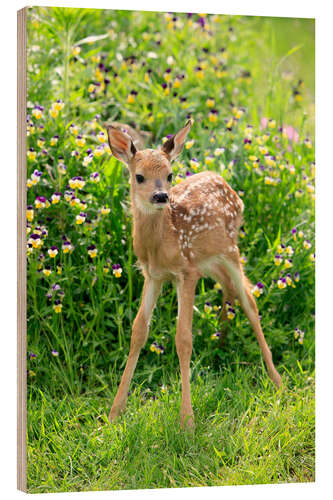 Wood print White-tailed deer fawn