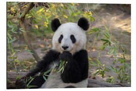 Magnettafel Großer Panda II