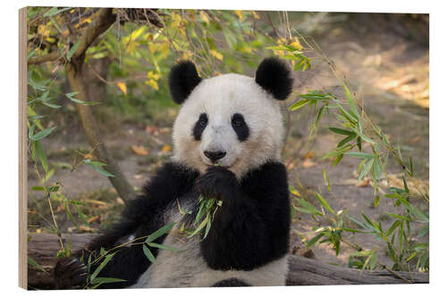 Holzbild Großer Panda II