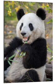 Magnettafel Großer Panda III