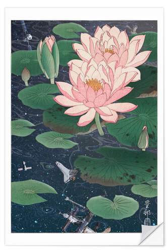 Selvklebende plakat Water lilies in space