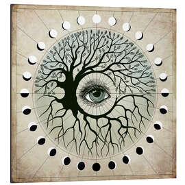 Magnettafel Mikrokosmos