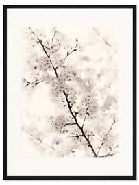 Gerahmter Kunstdruck Japanische Kirschblüten