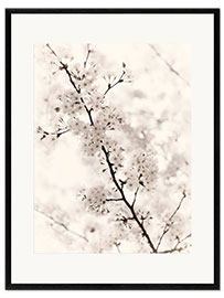 Impresión de arte enmarcada Flores de cerezo japonesas