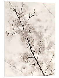 Gallery print Japanese cherry blossoms