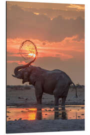 Magnettafel Afrikanischer Elefant