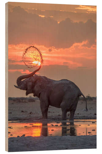 Wood print African elephant
