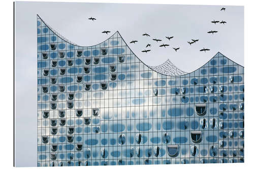 Gallery Print Vögel fliegen über der Elbphilharmonie