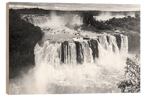 Print på træ Iguazu falls