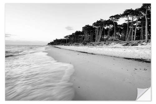 Sisustustarra Dusk on Weststrand-Darß