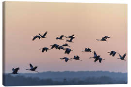 Canvas print Gray cranes