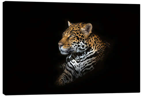 Canvas-taulu Jaguar portrait