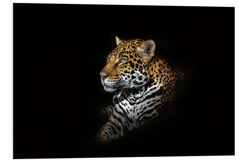 Foam board print Jaguar portrait