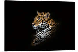 Gallery print Jaguar portrait