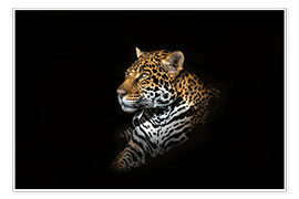 Poster  Jaguar portrait - Richard Reames