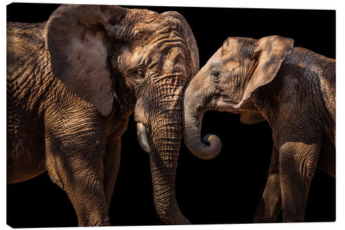 Canvas print Elephants