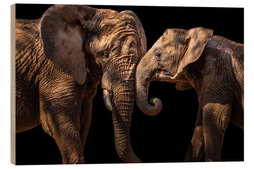 Wood print Elephants