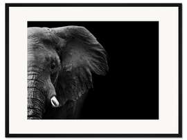 Gerahmter Kunstdruck Elefant