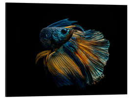 Magnettafel Mein Kleid