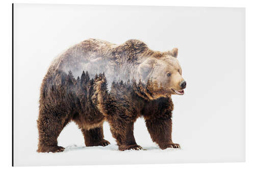 Aluminium print Bear