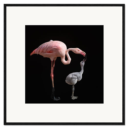 Plakat artystyczny premium w ramie Turn pink