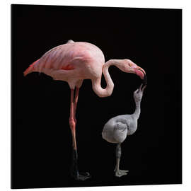 Magnettafel Rosa werden