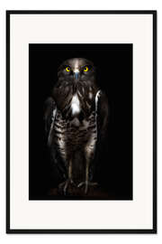 Gerahmter Kunstdruck Horus