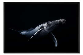 Gerahmter Kunstdruck Schwarzer Wal